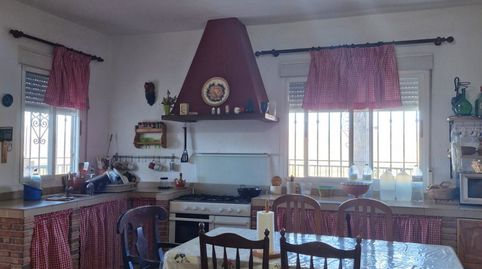 Foto 5 de Finca rústica en venda a Fuente de la Alcubilla, Motril ciudad, Motril