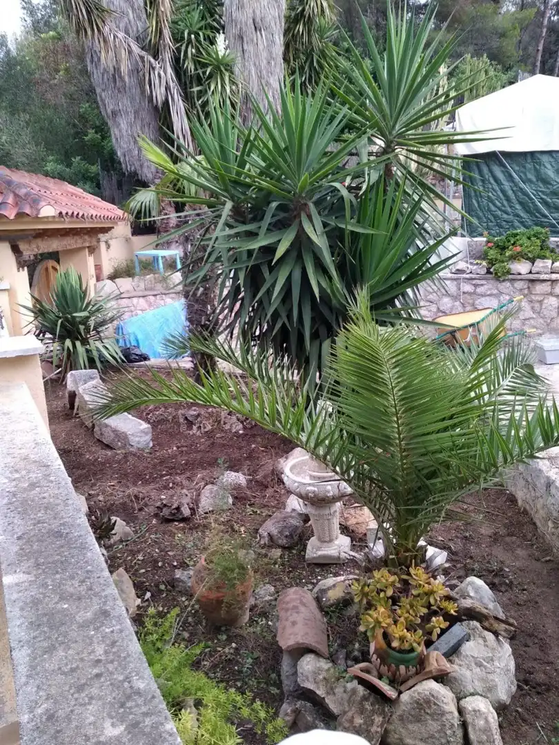 Maison avec terrasse à vendre à Mas Mel, imagen 73