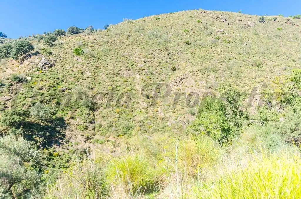 Terreny rústic en venda a Canillas de Albaida, imagen 4
