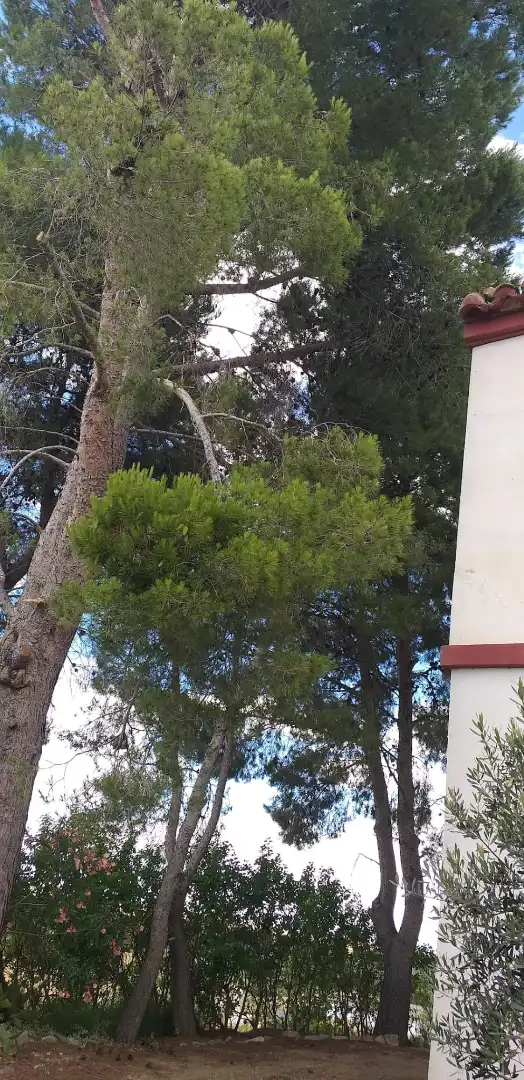 Jardín de Casa o chalet en venta en Híjar con Calefacción, Jardín privado y Parquet