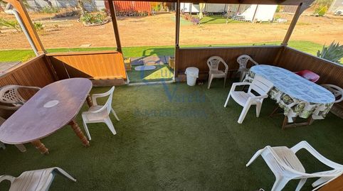 Foto 5 de Finca rústica en venta en Camino Rufino, Oromana, Alcalá de Guadaira