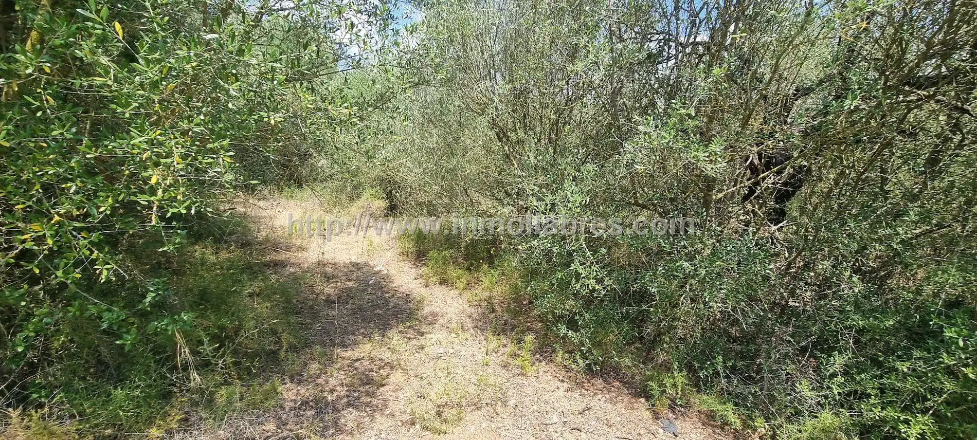 Terrenys i solars en venda a Cristo Rey - Parque Europa