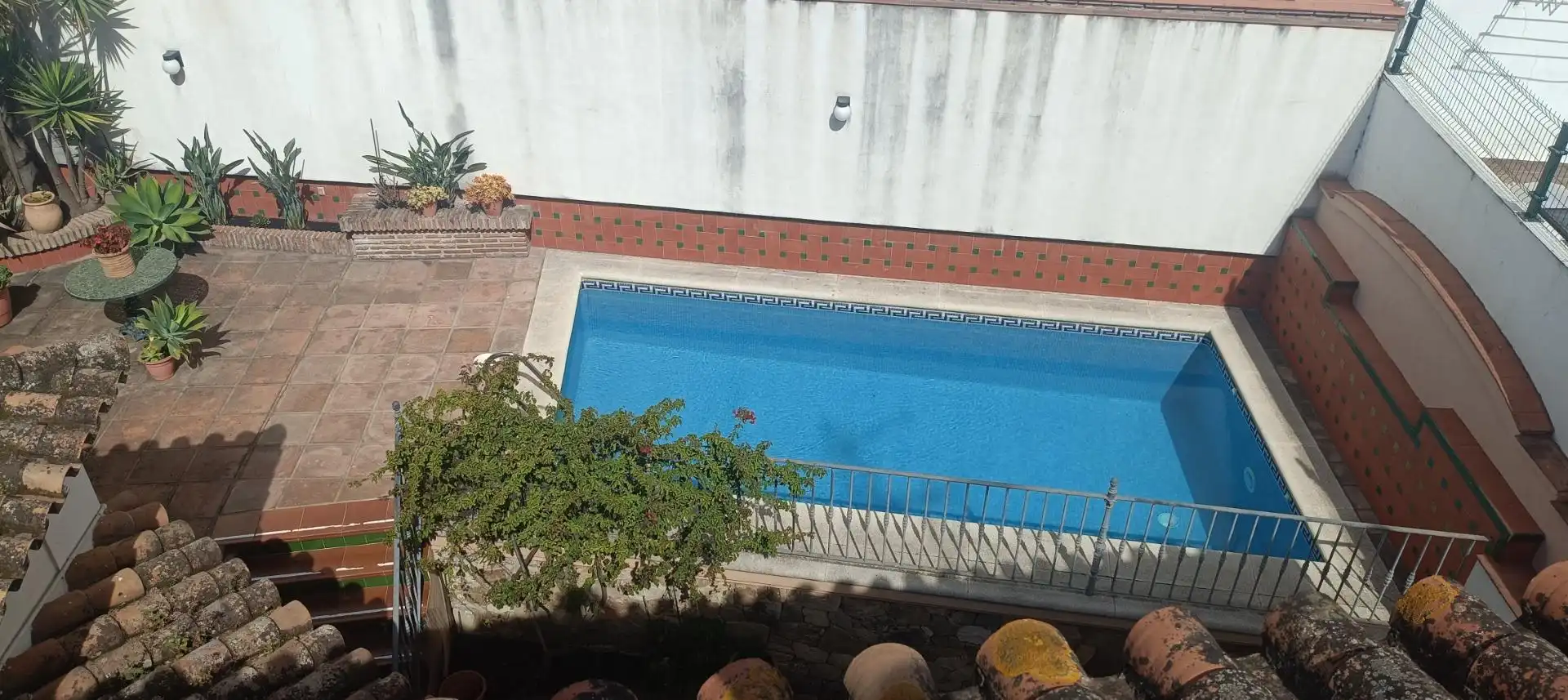 Piscina de Casa o chalet en venta en Algeciras con Terraza, Trastero y Piscina
