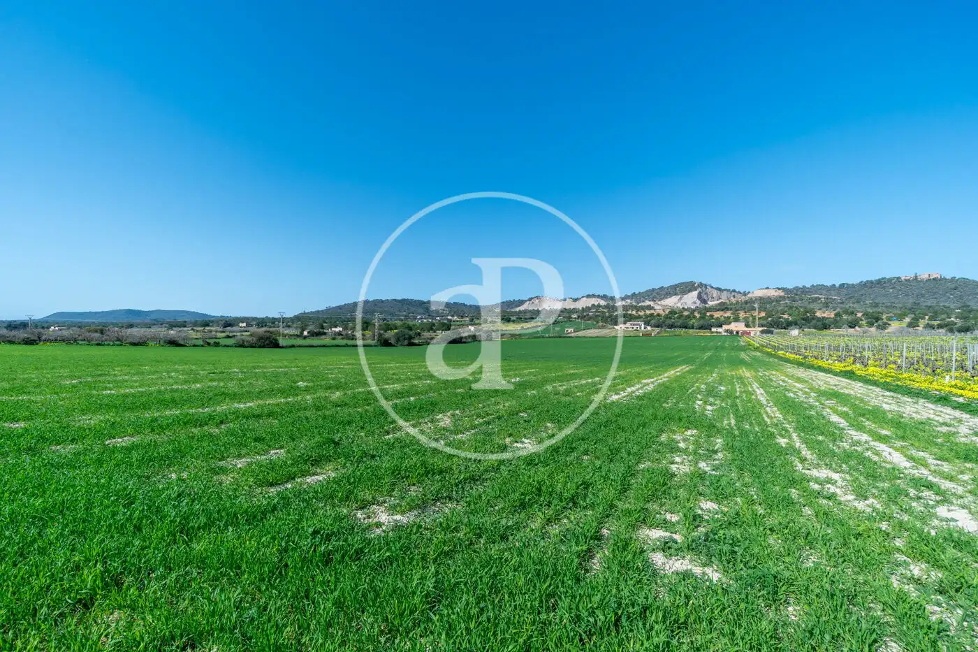 Residential for sale in Porreres