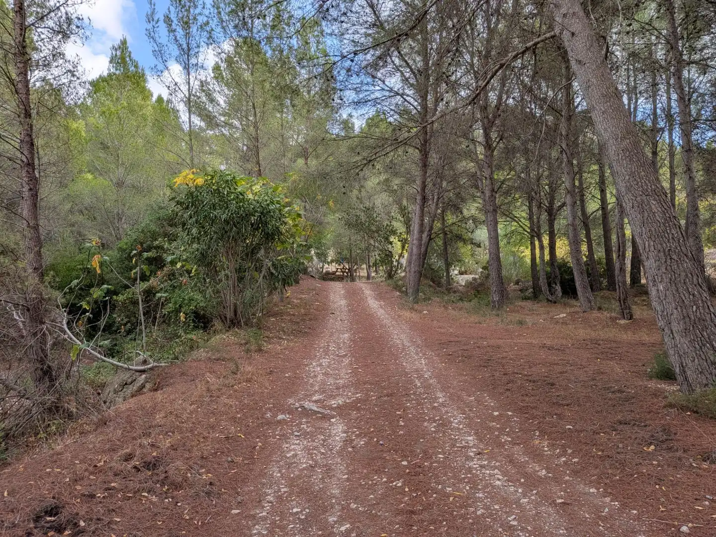 Maison rustique à vendre à Camino  Tivissa 51, imagen 35