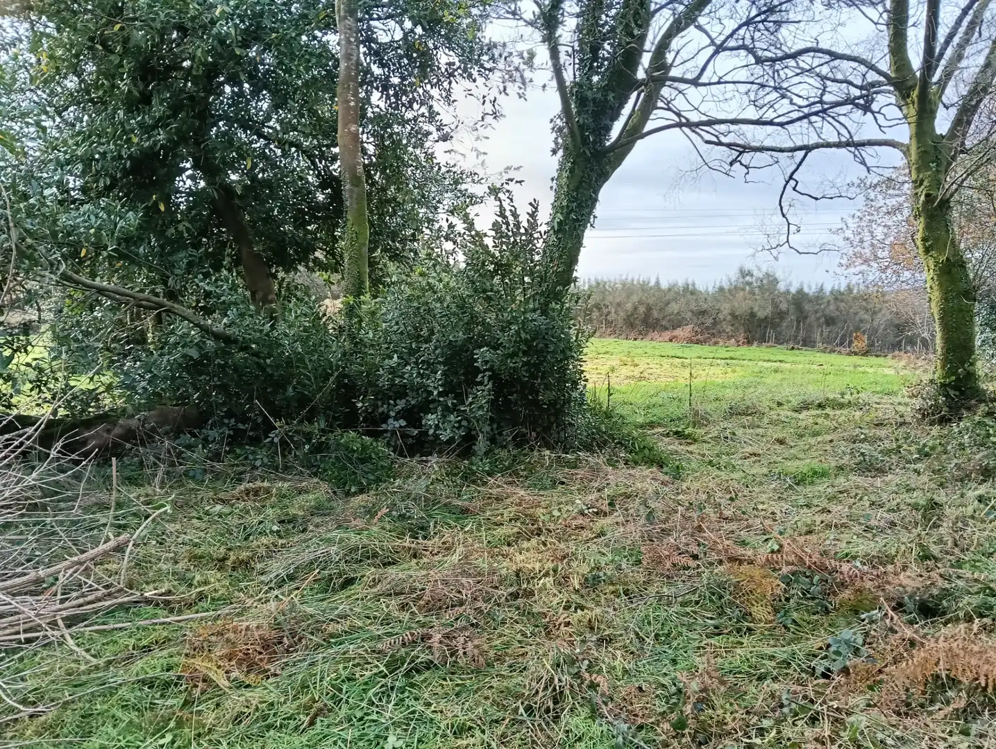 Maison avec jardin à vendre à Vilasantar, imagen 21