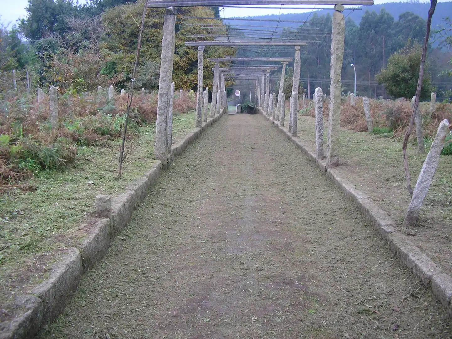 Casa o xalet en venda en Boiro