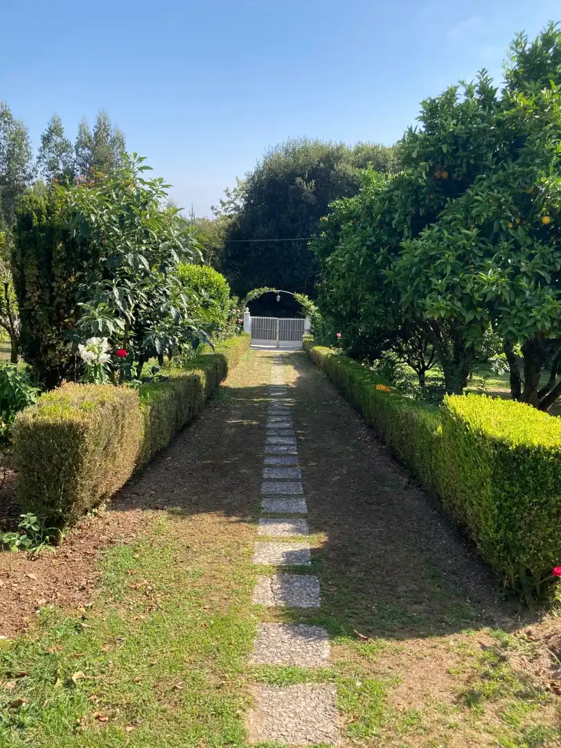 Jardí de Casa o xalet en venda en Dorneda