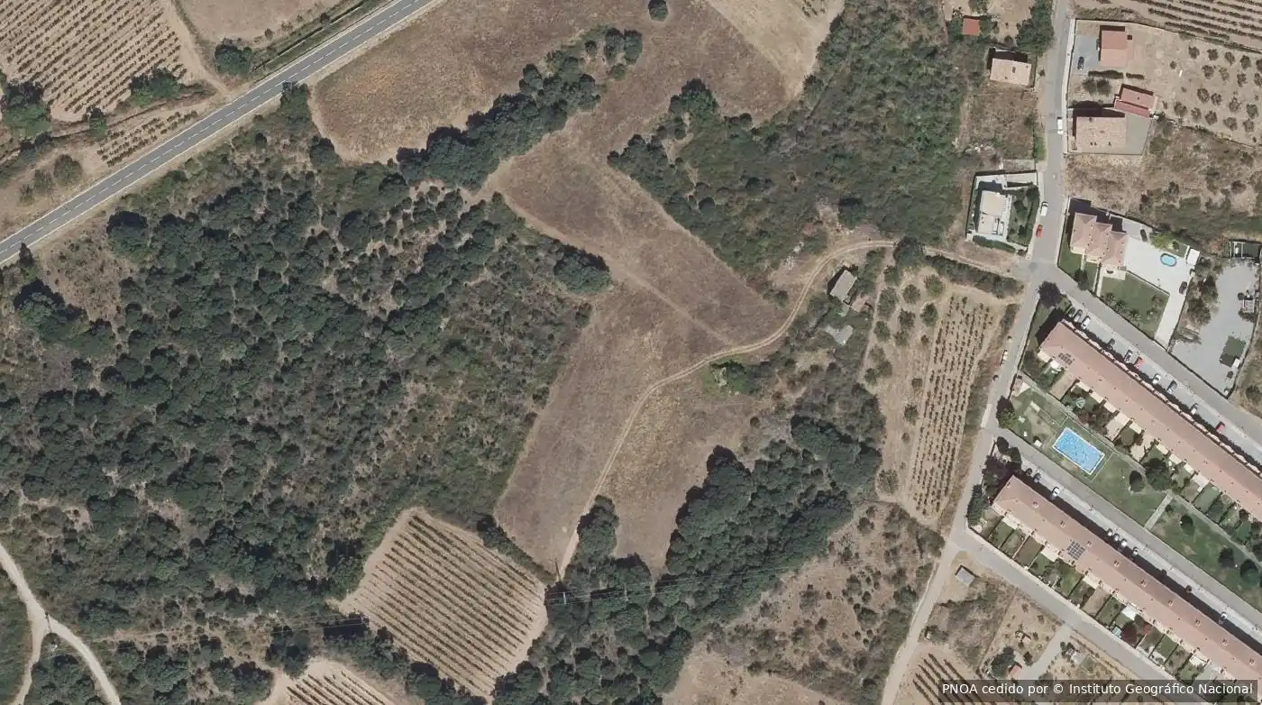 Terrain rustique à vendre à Medrano
