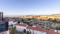 Exterior view of Single-family semi-detached for sale in Gójar  with Parquet flooring, Terrace and Balcony