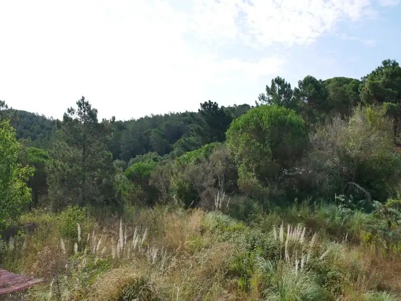 Residential land for sale in Avinguda Rafael Albertí 46, imagen 31