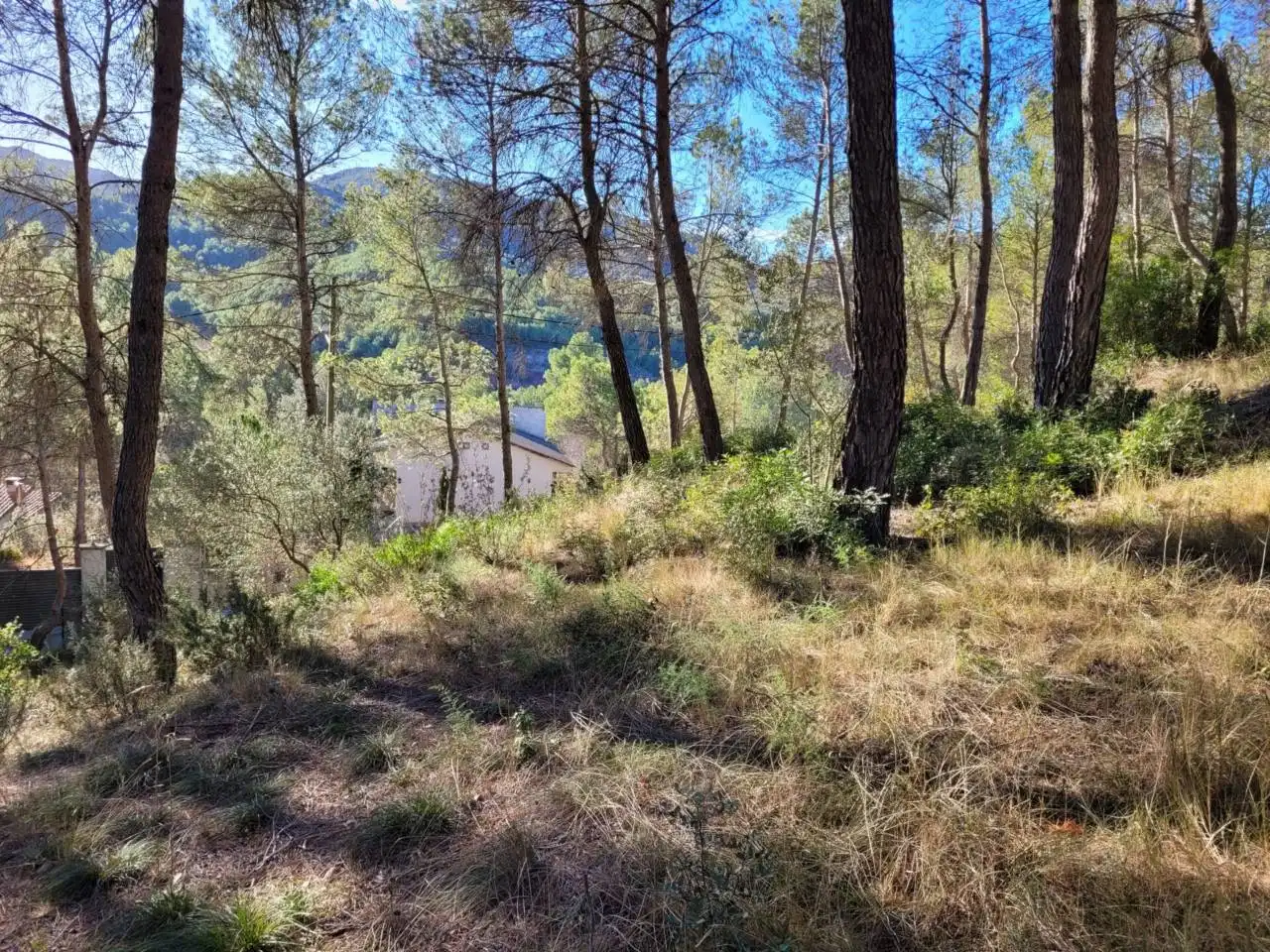 Casa o xalet en venda en Vacarisses amb Aire condicionat, Jardí privat i Piscina