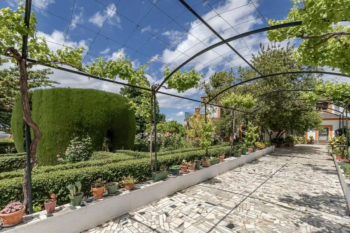 Chalet con piscina en venta en Calle Albaricoque, imagen 7
