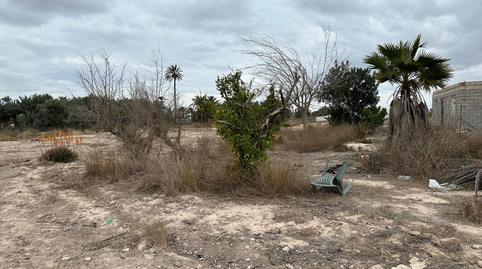 Foto 4 de Finca rústica en venta en Algorós - El Derramador, Elche / Elx