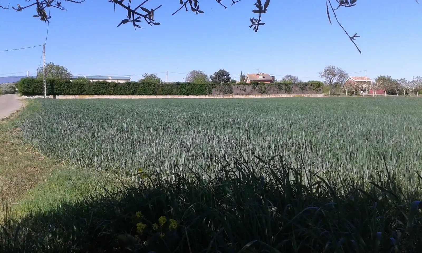 Terrenys i solars en venda a Alberite, imagen 4