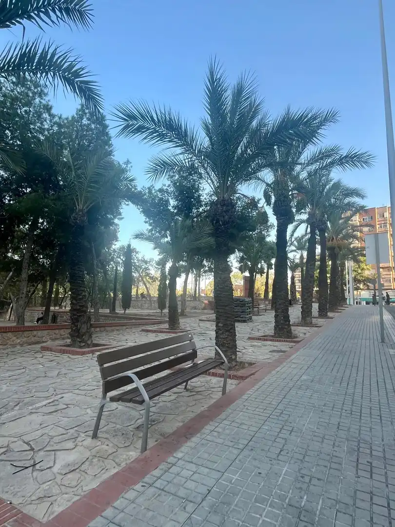 Pis amb terrassa en venda a Elche ciudad