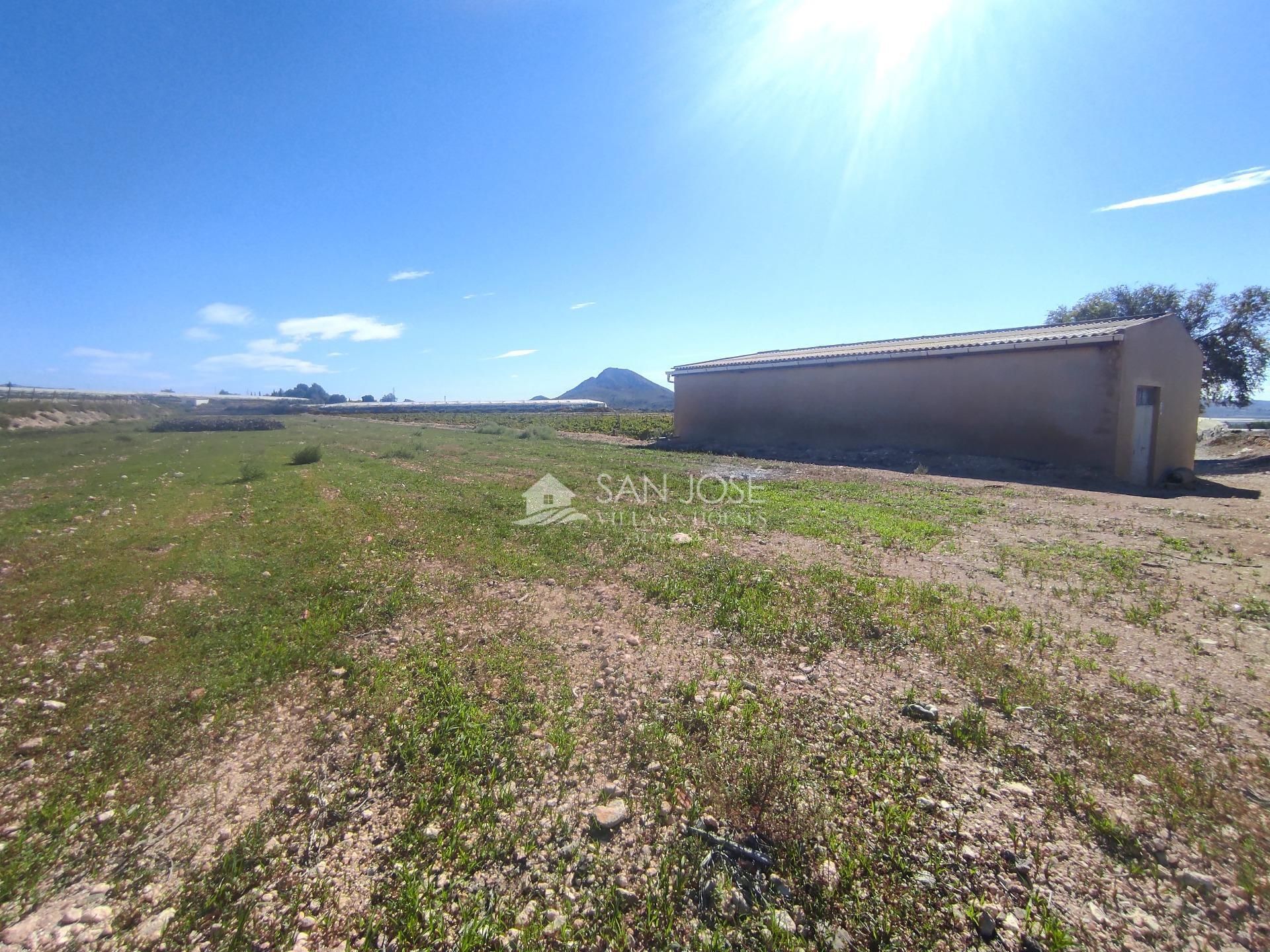 Finca rústica en venda en Monforte del Cid