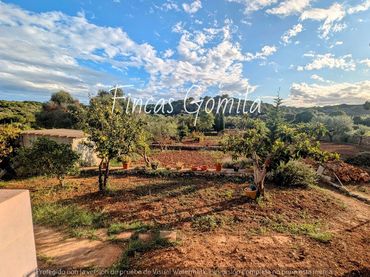 Terreno rustico in vendita a Nova