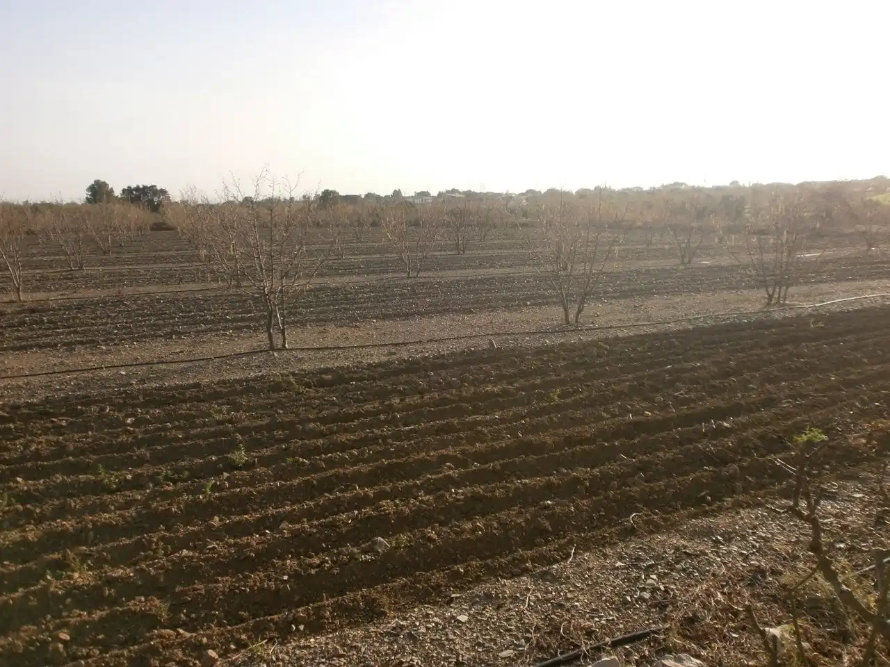 Land for sale in Zn Sta Anna, 5, Castellvell del Camp