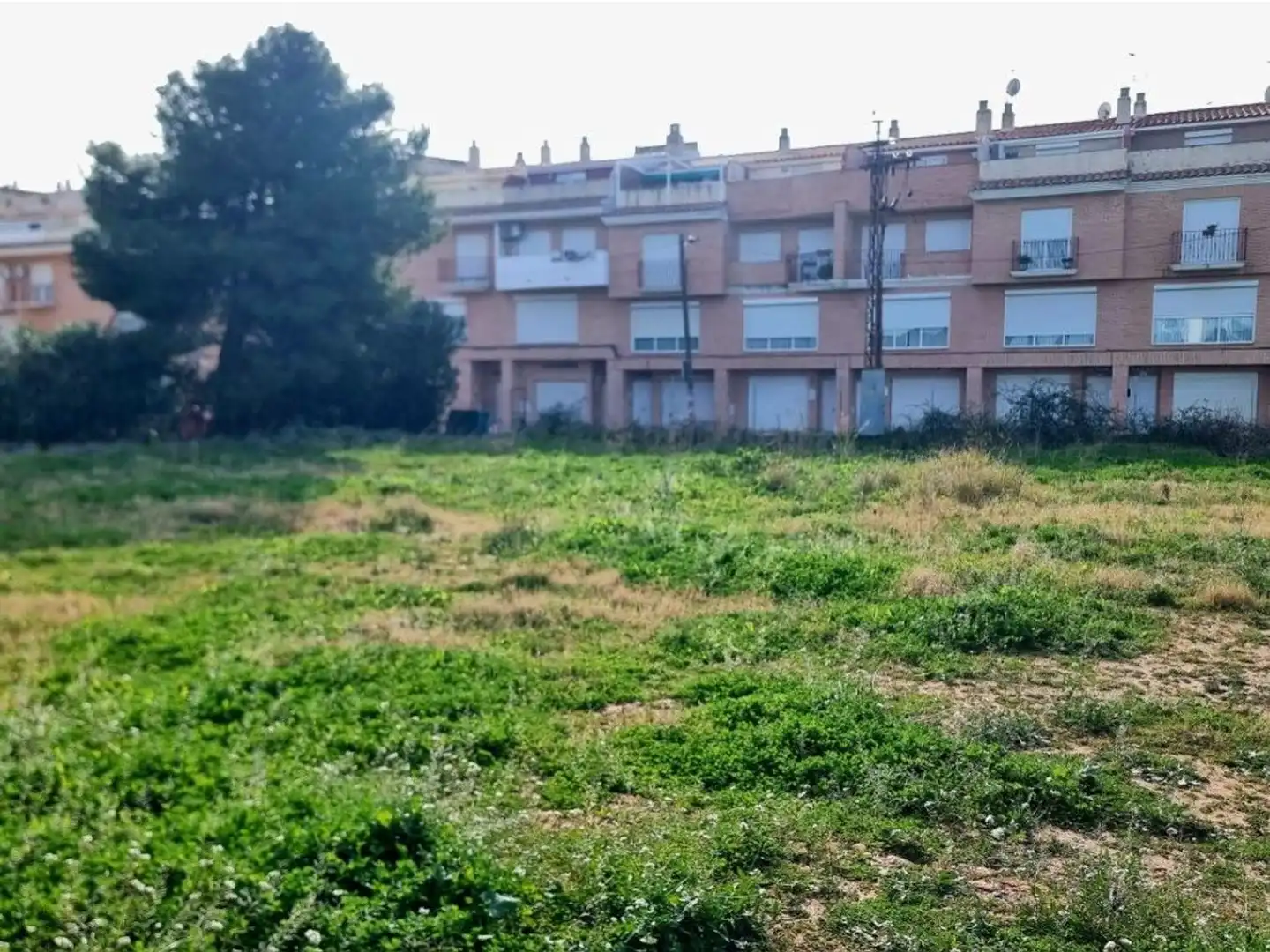 Terreny residencial en venda a Viejo Alcora, imagen 22