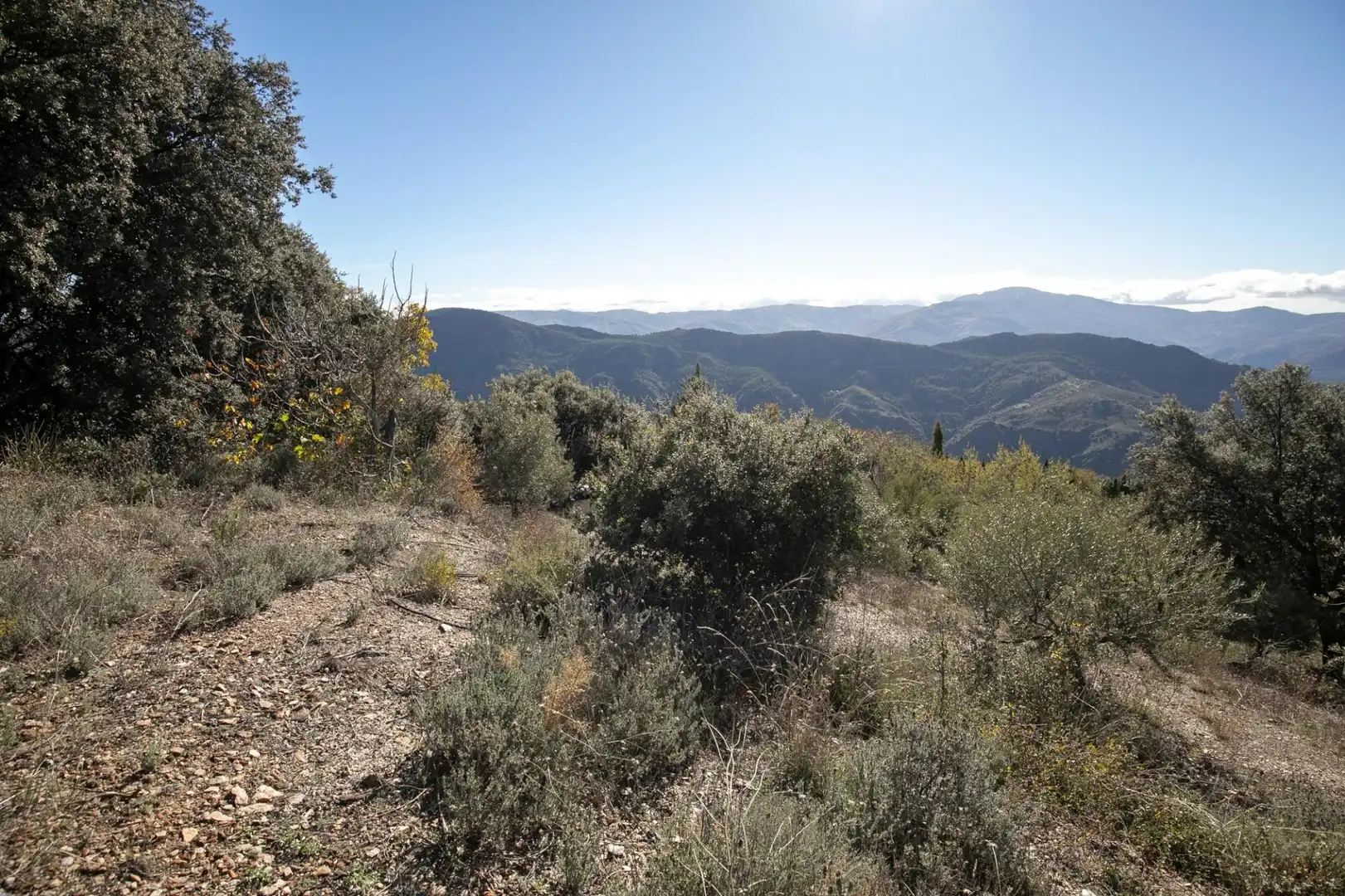 Finca rústica en venda en La Taha