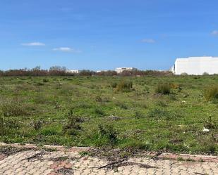 Terreny industrial en venda en El Puerto de Santa María
