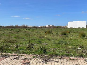 Industrial land for sale in Avenida galileo galilei