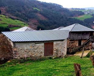 Außenansicht von Country house zum verkauf in Villayón mit Privatgarten