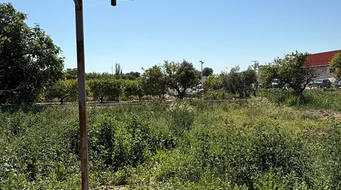 Foto 4 de Finca rústica en venda a Carretera Carretera Fuensanta, Santo Angel, Murcia Capital
