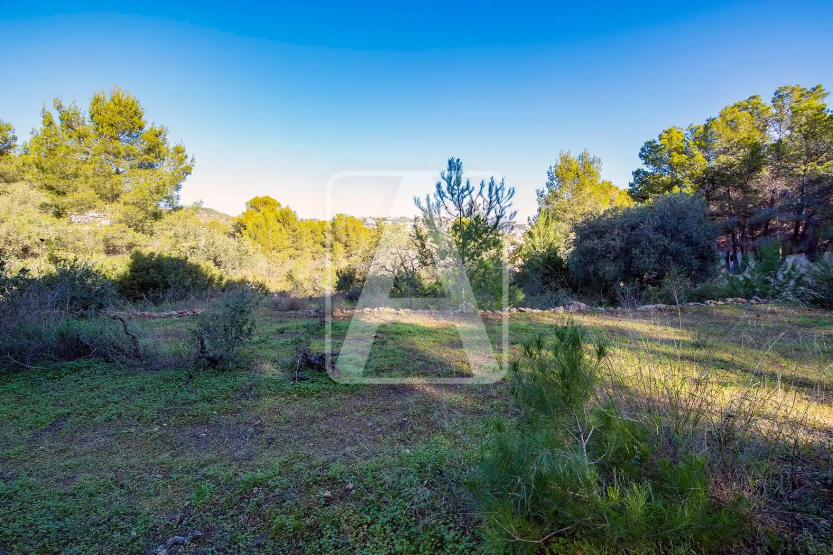 Villa avec piscine à vendre à Cala Advocat - Baladrar, imagen 10