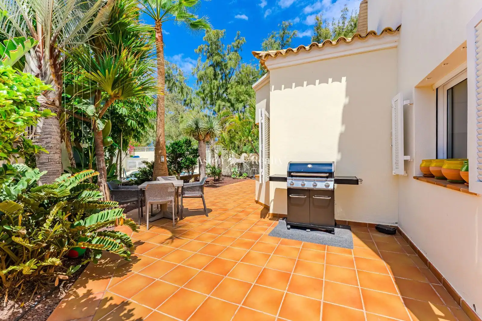 Jardín de Casa o chalet en venta en Arona con Jardín privado, Terraza y Trastero