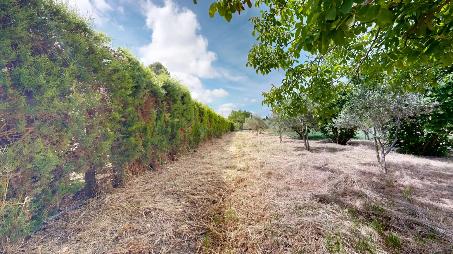 Rural land for sale in Tafalla - PARAJE LA RECUEJA, imagen 68
