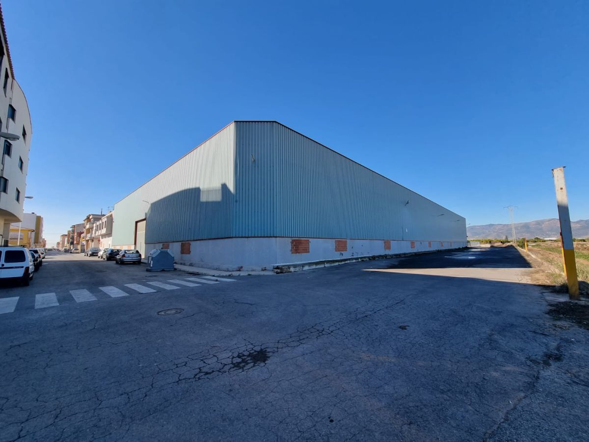 Exterior view of Industrial buildings for sale in Moncofa