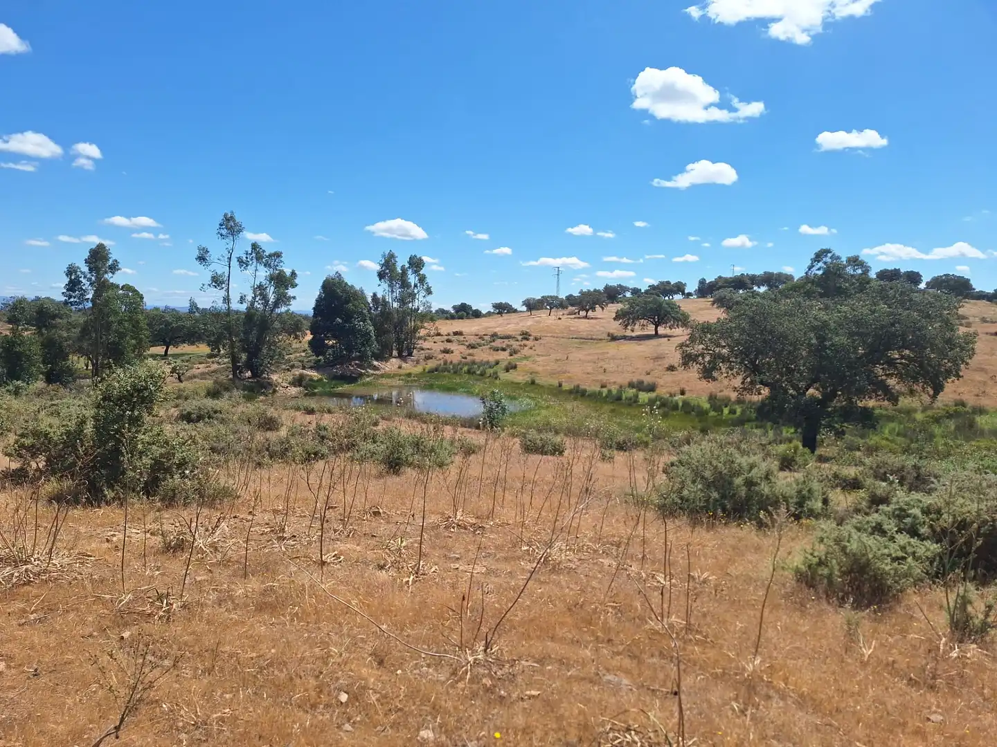 Terreno en venta en Calle Colon, 15, Tharsis