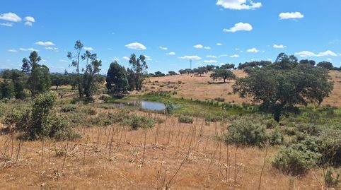 Photo 3 of Land for sale in Calle Colon, 15, Tharsis, Alosno