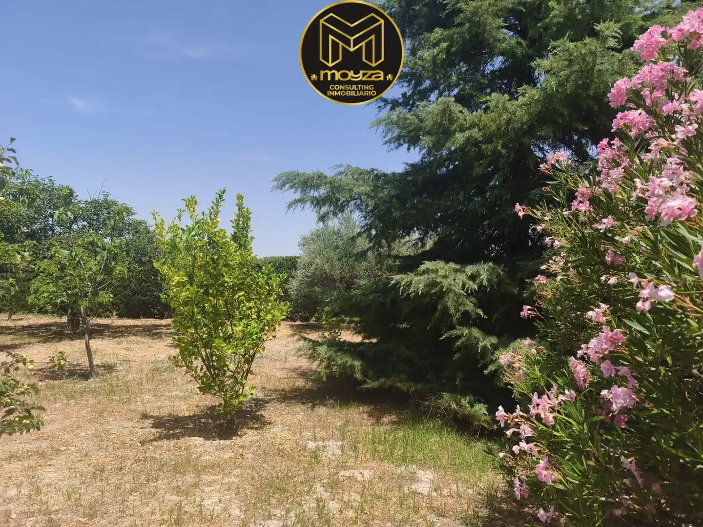 Villa à vendre à La Guardia de Jaén, imagen 15