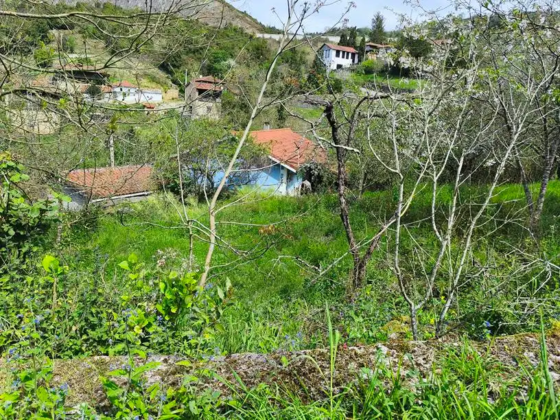 Casa o chalet en venta en Salas con Amueblado