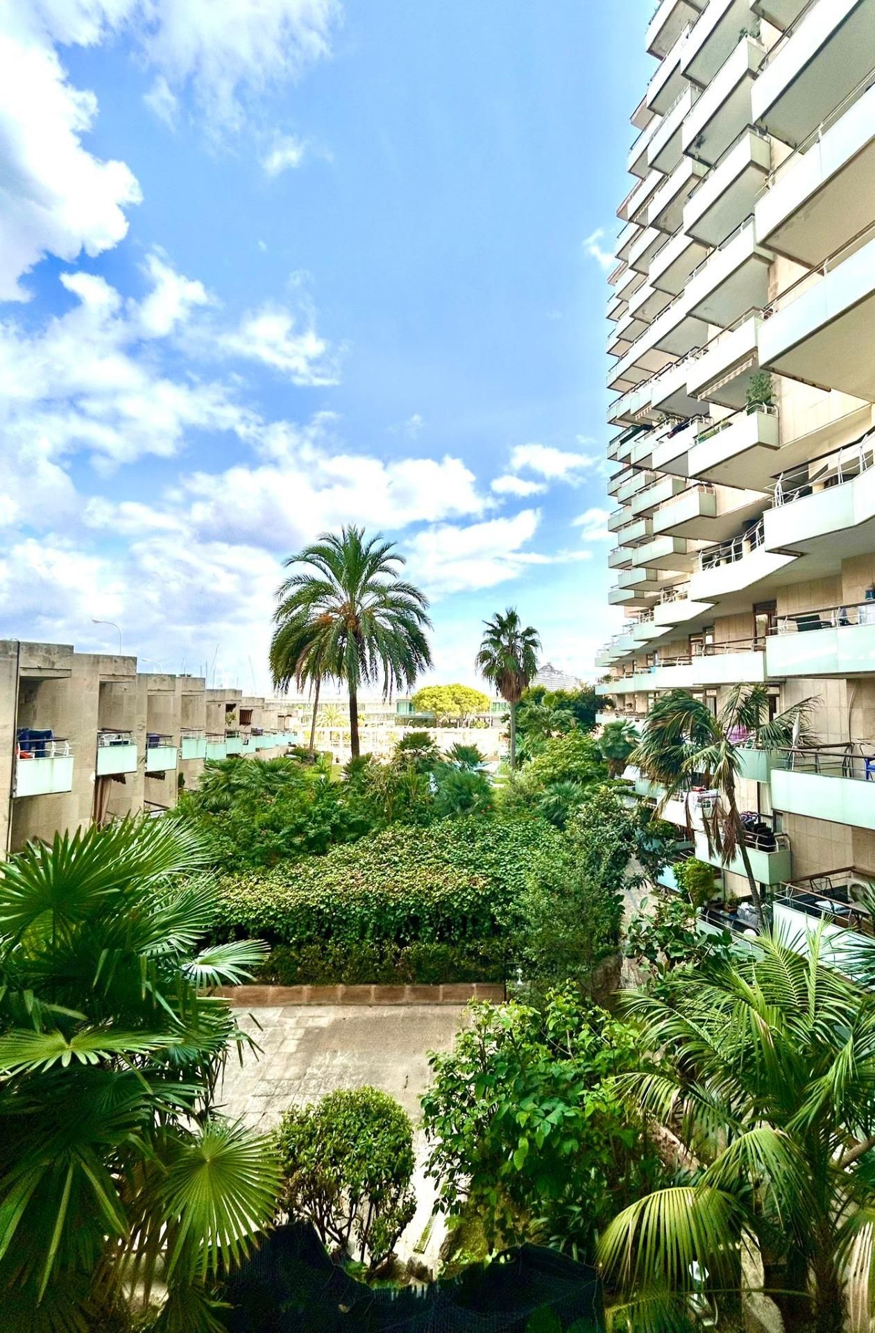 Vista exterior de Estudio de alquiler en  Palma de Mallorca con Aire acondicionado y Piscina comunitaria