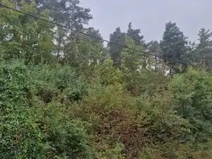 Residential land for sale in Carrer de Collsuspina 506, imagen 9