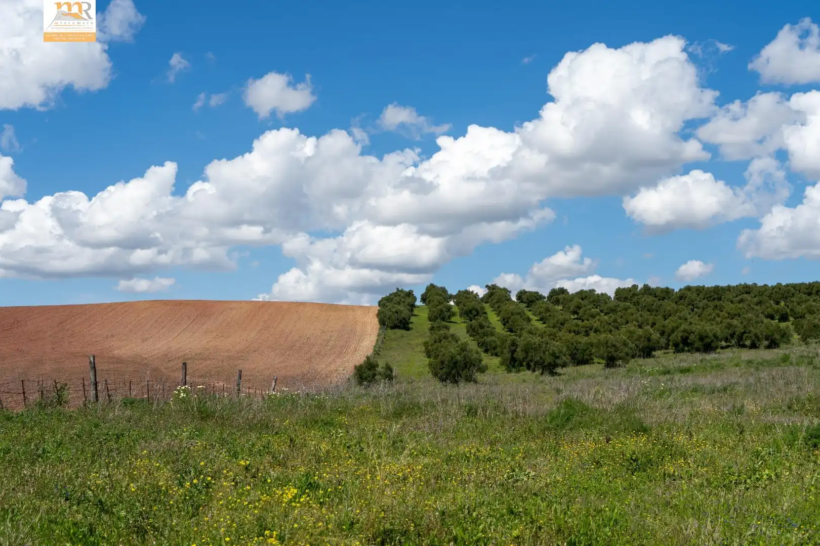 Finca rústica en venta en Prado del Rey