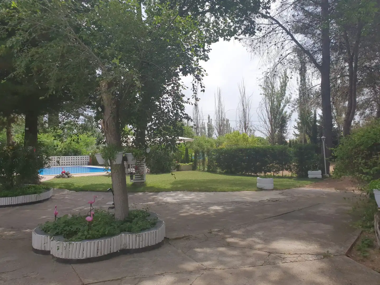 Jardín de Casa o chalet en venta en Argamasilla de Calatrava con Aire acondicionado, Jardín privado y Trastero