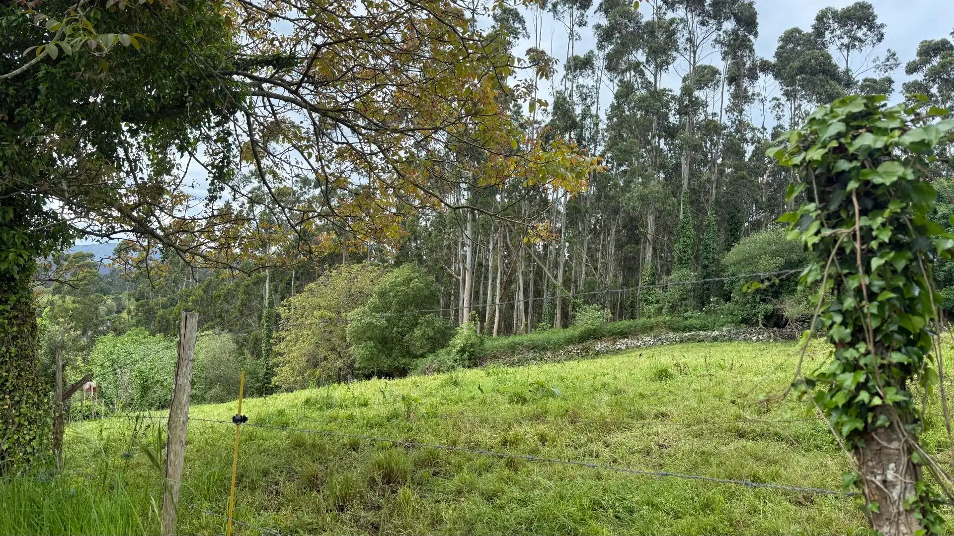 Terreno en venta en Valdáliga
