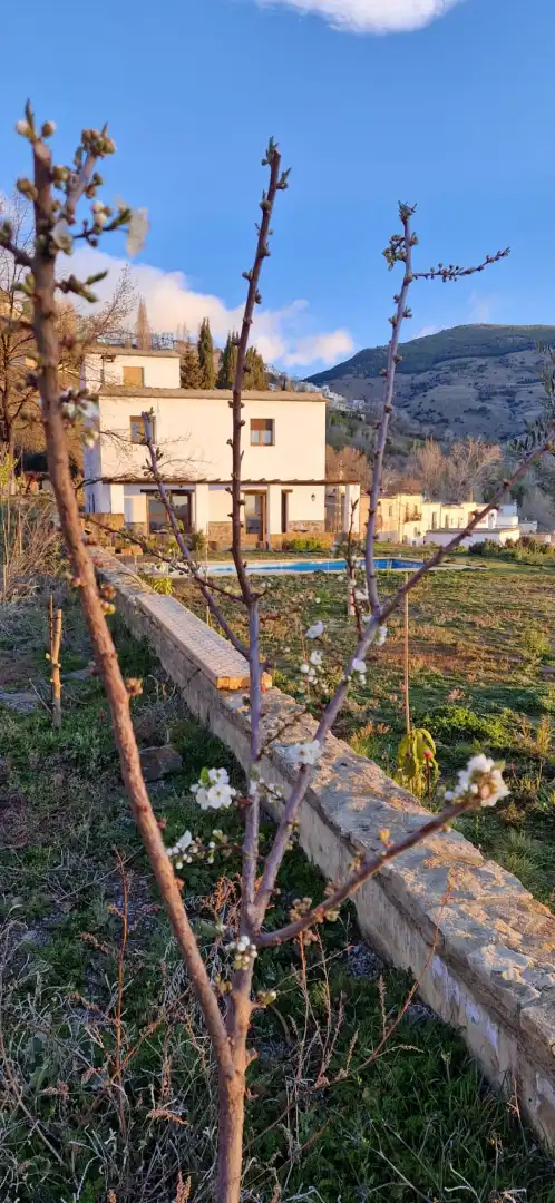 Chalet con terraza en venta en Bérchules, imagen 31