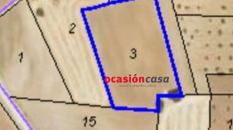 PARCELA DE SIEMBRA A LA VENTA EN VALSEQUILLO, immagine 2