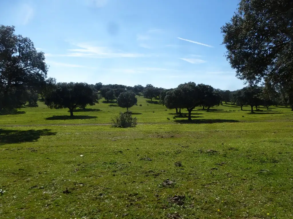 Rural land for sale in Maqueda, imagen 6