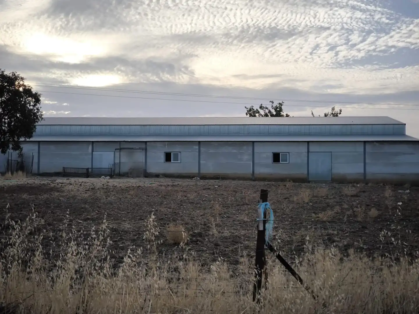 Vista exterior de Finca rústica en venda en El Viso de San Juan