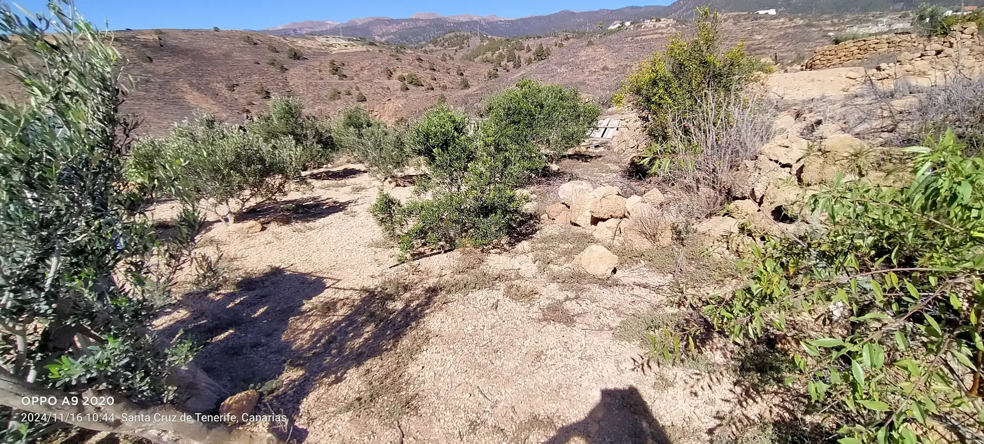 Terreno en venta en Arico