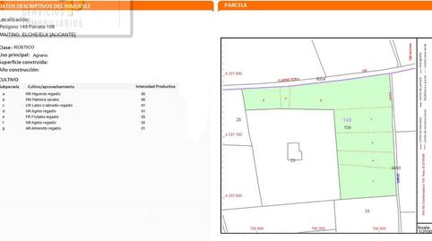 Foto 3 von Grundstücke zur Miete in Alzabares, Elche / Elx