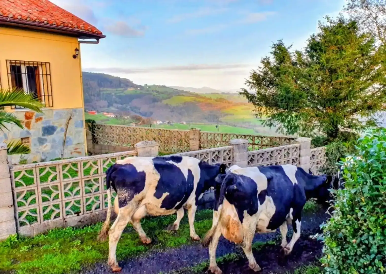 Vista exterior de Finca rústica en venda en Salas