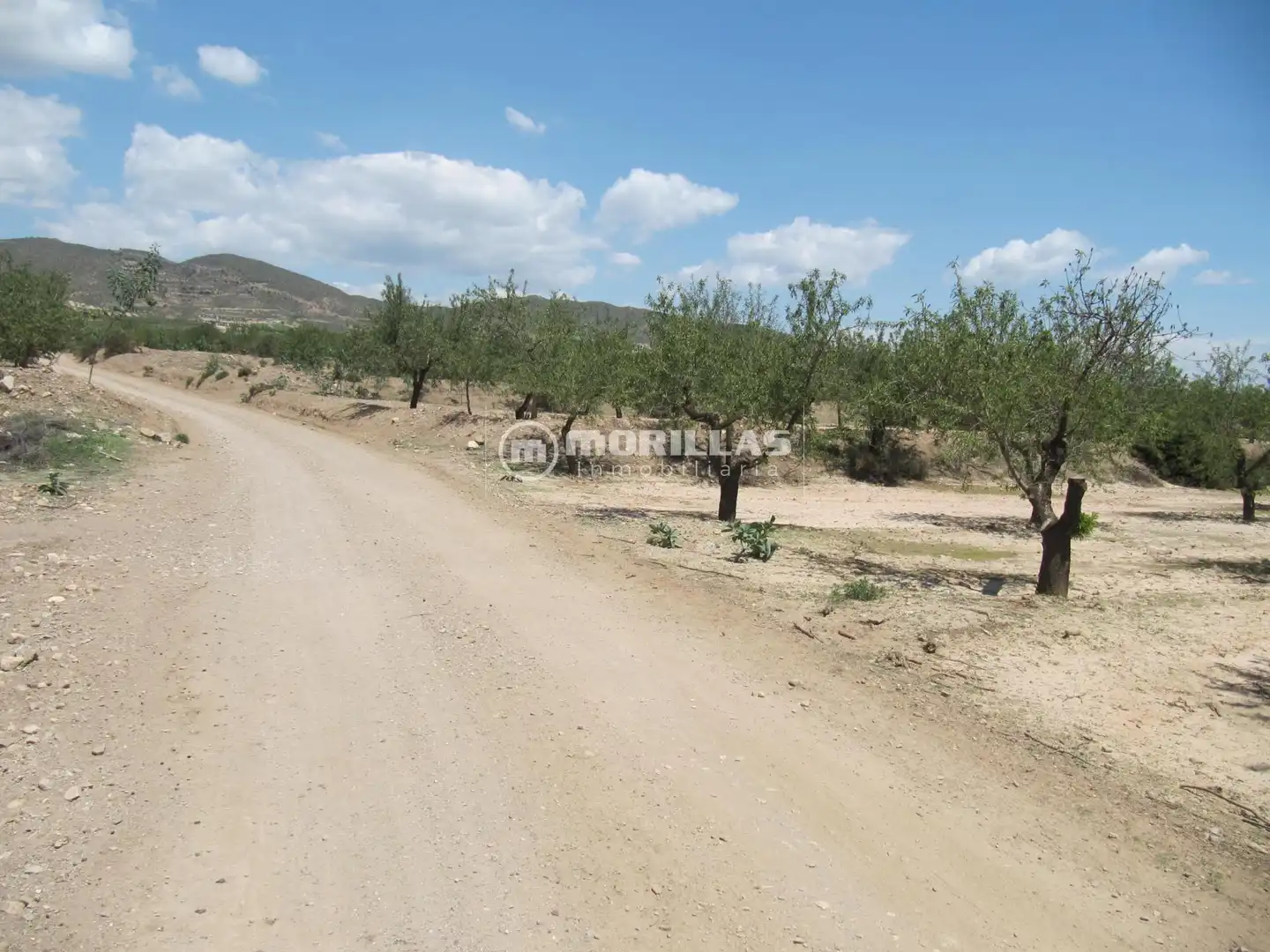 Terreny rústic en venda a Puerto Lumbreras, imagen 7